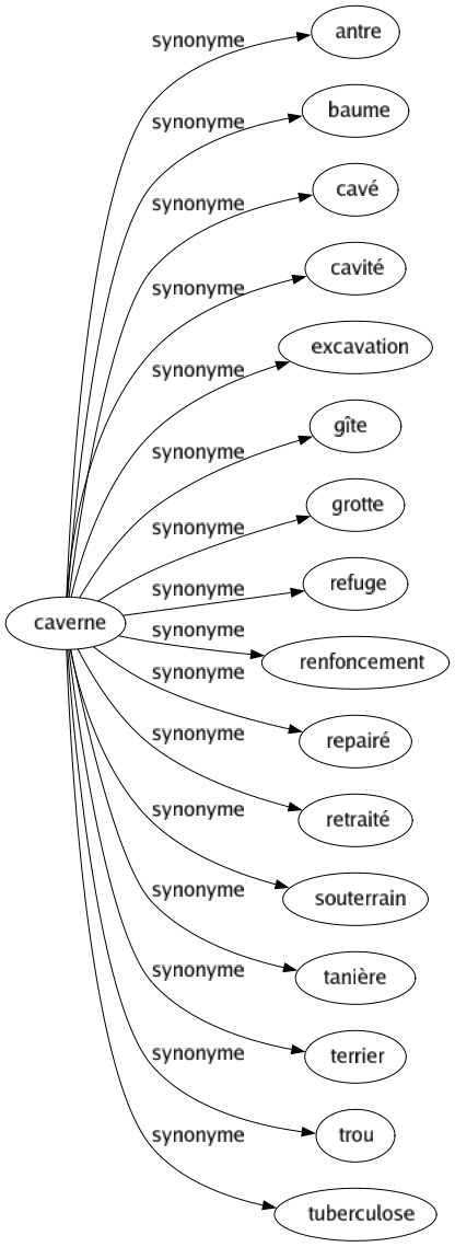 Synonyme de Caverne : Antre Baume Cavé Cavité Excavation Gîte Grotte Refuge Renfoncement Repairé Retraité Souterrain Tanière Terrier Trou Tuberculose 