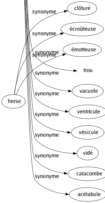 Synonyme de Cavité : Abîmé Alvéole Anfractuosité Antre Aqueduc Aven Barillet Bassin Bétoire Boité Bouché Brèche Cage Canal Capsulé Carié Carrière Cavé Caveau Caverne Chambré Citerne Concavité Conceptacle Conque Cratère Creux Crevassé Crypté Doline Embrasure Encoignure Enfoncée Enfoncement Enfonçure Excavation Fente Fossé Galerie Géode Gouffre Grotte Logé Miné Narine Niché Orbite Oreillette Ouverture Poché Poljé Précipice Puits Rainure Ravin Raviné Renfoncement Rhinopharynx Sac Sinus Strié Tranchée Trou Vacuole Ventricule Vésicule Vidé Catacombe Acétabule 