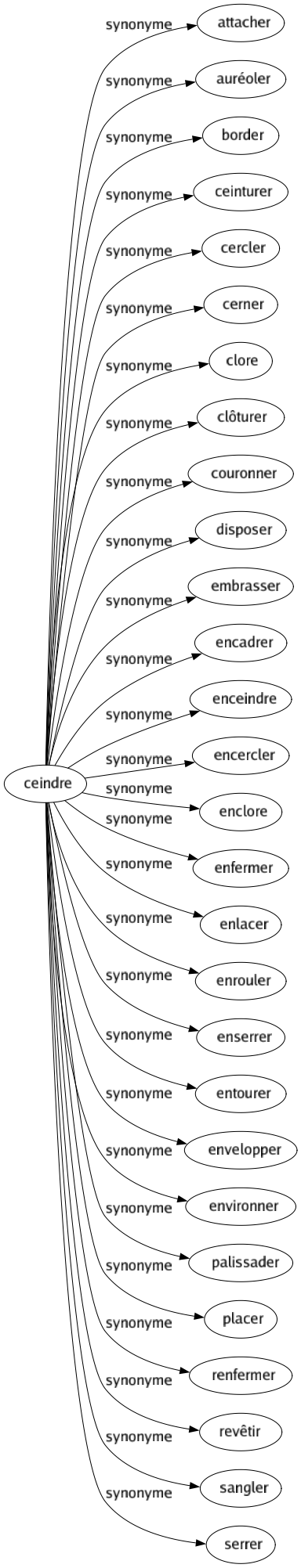 Synonyme de Ceindre : Attacher Auréoler Border Ceinturer Cercler Cerner Clore Clôturer Couronner Disposer Embrasser Encadrer Enceindre Encercler Enclore Enfermer Enlacer Enrouler Enserrer Entourer Envelopper Environner Palissader Placer Renfermer Revêtir Sangler Serrer 