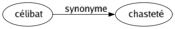 Synonyme de Célibat : Chasteté 