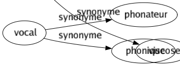 Synonyme de Cellulose : Celluloïd Collodion Pyroxylé Soie Viscose 