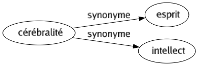 Synonyme de Cérébralité : Esprit Intellect 