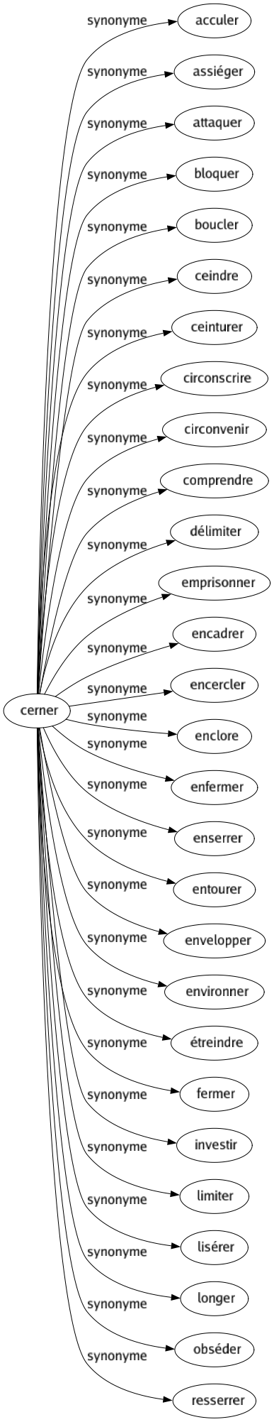 Synonyme de Cerner : Acculer Assiéger Attaquer Bloquer Boucler Ceindre Ceinturer Circonscrire Circonvenir Comprendre Délimiter Emprisonner Encadrer Encercler Enclore Enfermer Enserrer Entourer Envelopper Environner Étreindre Fermer Investir Limiter Lisérer Longer Obséder Resserrer 