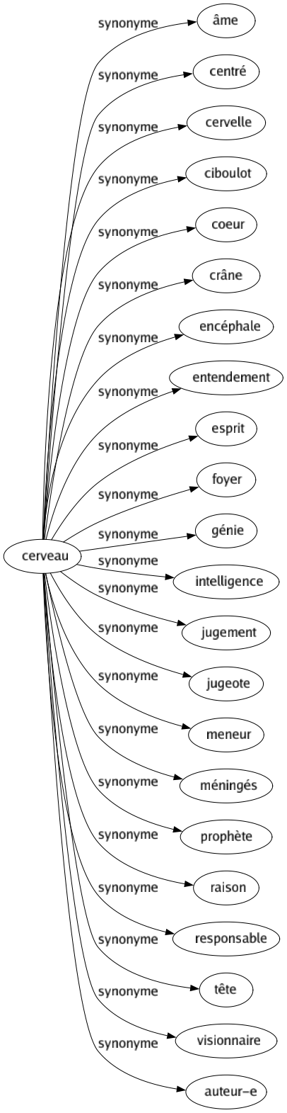 Synonyme de Cerveau : Âme Centré Cervelle Ciboulot Coeur Crâne Encéphale Entendement Esprit Foyer Génie Intelligence Jugement Jugeote Meneur Méningés Prophète Raison Responsable Tête Visionnaire Auteur-e 