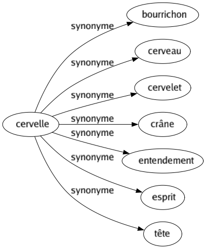 Synonyme de Cervelle : Bourrichon Cerveau Cervelet Crâne Entendement Esprit Tête 