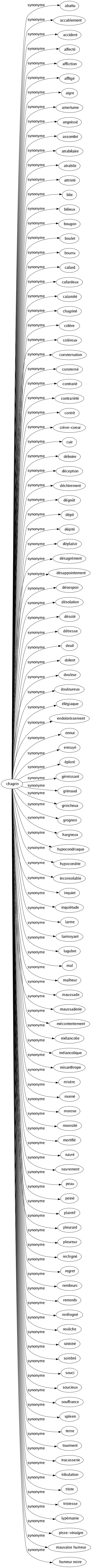 Synonyme de Chagrin : Abattu Accablement Accident Affecté Affliction Affligé Aigre Amertume Angoissé Assombri Atrabilaire Atrabile Attristé Bile Bilieux Bougon Boulet Bourru Cafard Cafardeux Calamité Chagriné Colère Coléreux Consternation Consterné Contrarié Contrariété Contrit Crève-coeur Cuir Déboire Déception Déchirement Dégoût Dépit Dépité Déplaisir Désagrément Désappointement Désespoir Désolation Désolé Détresse Deuil Dolent Douleur Douloureux Élégiaque Endolorissement Ennui Ennuyé Éploré Gémissant Grimaud Grincheux Grognon Hargneux Hypocondriaque Hypocondrie Inconsolable Inquiet Inquiétude Larme Larmoyant Lugubre Mal Malheur Maussade Maussaderie Mécontentement Mélancolie Mélancolique Misanthrope Misère Morné Morose Morosité Mortifié Navré Navrement Peau Peiné Plaintif Pleurard Pleureur Rechigné Regret Rembruni Remords Renfrogné Revêche Sinistré Sombré Souci Soucieux Souffrance Spleen Terne Tourment Tracasserie Tribulation Triste Tristesse Lypémanie Pisse-vinaigre Mauvaise humeur Humeur noire 