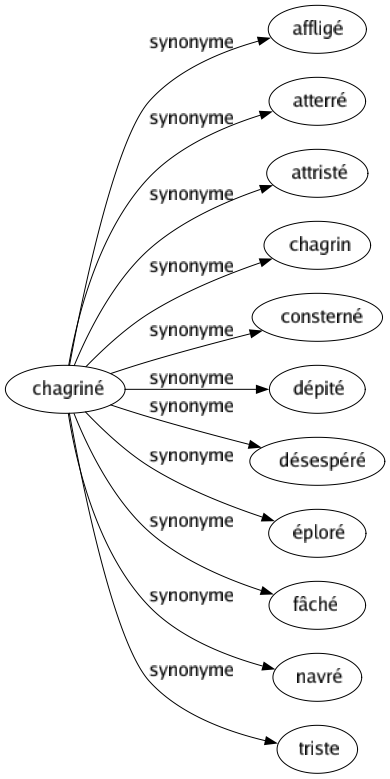 Synonyme de Chagriné : Affligé Atterré Attristé Chagrin Consterné Dépité Désespéré Éploré Fâché Navré Triste 