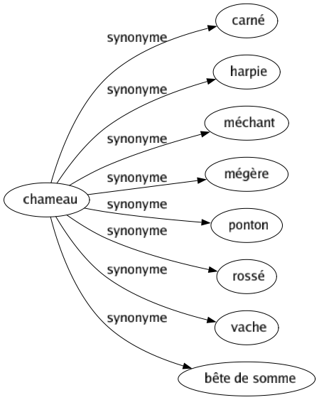 Synonyme de Chameau : Carné Harpie Méchant Mégère Ponton Rossé Vache Bête de somme 