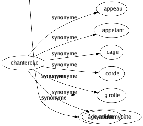 Synonyme de Chanterelle : Appeau Appelant Cage Corde Girolle Hyménomycète 