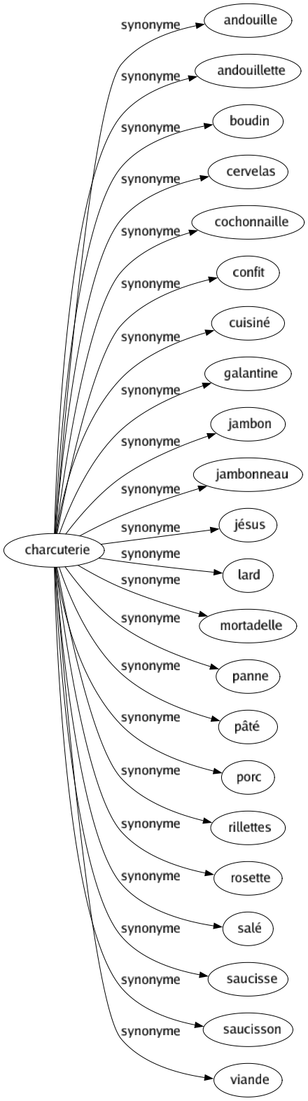 Synonyme de Charcuterie : Andouille Andouillette Boudin Cervelas Cochonnaille Confit Cuisiné Galantine Jambon Jambonneau Jésus Lard Mortadelle Panne Pâté Porc Rillettes Rosette Salé Saucisse Saucisson Viande 