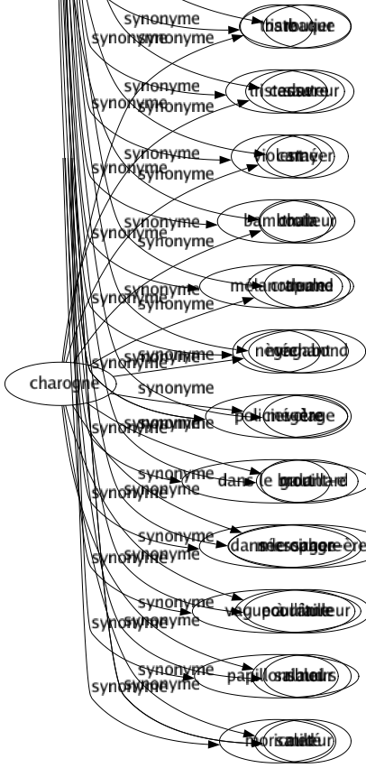 Synonyme de Charogne : Barbaque Cadavre Carné Chair Crapule Méchant Mégère Mort Nécrophore Pourriture Salaud Saleté 