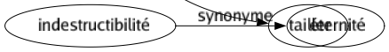 Synonyme de Charpenter : Cintrer Composer Constituer Construire Contreventer Couvrir Dégauchir Enchaîner Équarrir Équilibrer Étayer Étoffer Façonner Lier Menuiser Projeter Soutenir Structurer Tailler 