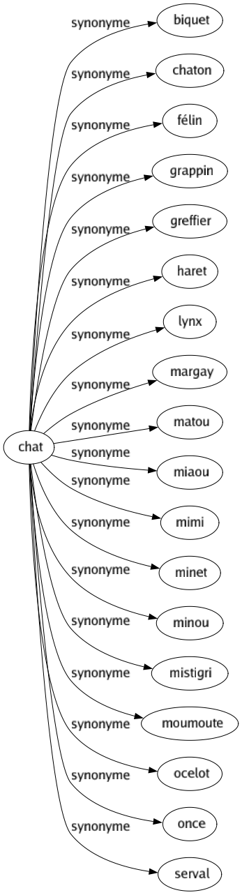 Synonyme de Chat : Biquet Chaton Félin Grappin Greffier Haret Lynx Margay Matou Miaou Mimi Minet Minou Mistigri Moumoute Ocelot Once Serval 
