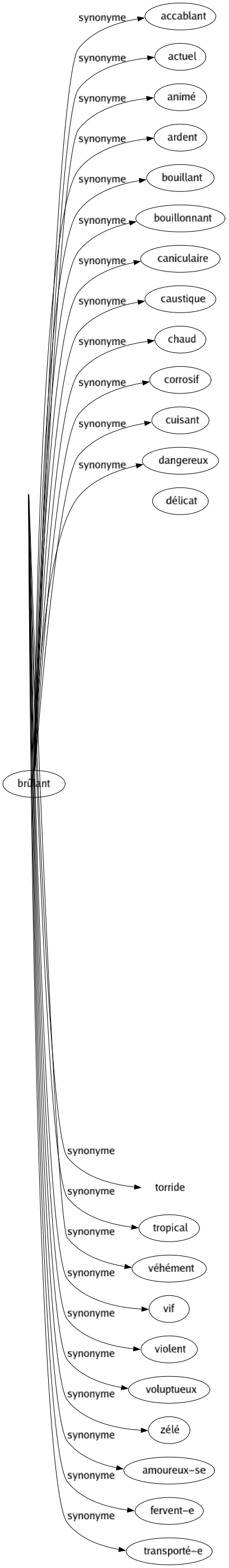 Synonyme de Chaud : Acharné Animé Âpre Ardent Bon Bouillant Bouillonnant Brûlant Chaleur Chaleureux Cher Combustible Cordial Cuisant Dangereux Décidé Délirant Déterminé Dur Échauffé Emballé Embrasé Emporté Empressé Enflammé Enthousiaste Équatorial Fanatique Fébrile Féru Fiévreux Fougueux Frénétique Incandescent Lascif Mou Passionné Pressant Risqué Sanglant Sévère Suffocant Thermique Tiède Torride Tropical Véhément Vif Violent Voluptueux Zélé Amoureux-se Fervent-e Transporté-e 