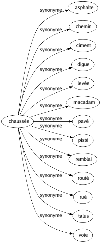 Synonyme de Chaussée : Asphalte Chemin Ciment Digue Levée Macadam Pavé Pisté Remblai Routé Rué Talus Voie 