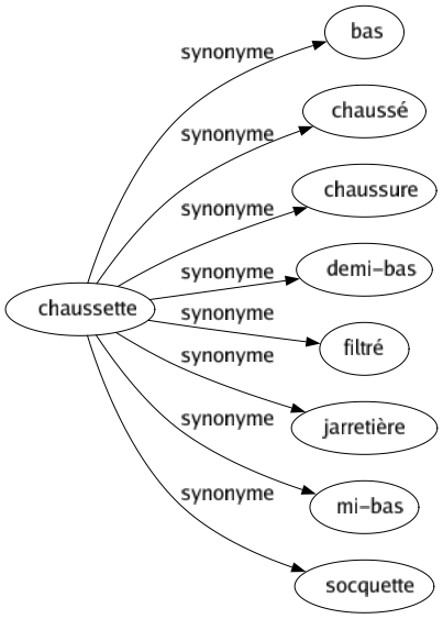 Synonyme de Chaussette : Bas Chaussé Chaussure Demi-bas Filtré Jarretière Mi-bas Socquette 