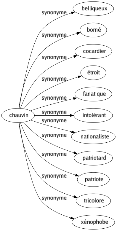 Synonyme de Chauvin : Belliqueux Borné Cocardier Étroit Fanatique Intolérant Nationaliste Patriotard Patriote Tricolore Xénophobe 