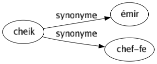 Synonyme de Cheik : Émir Chef-fe 
