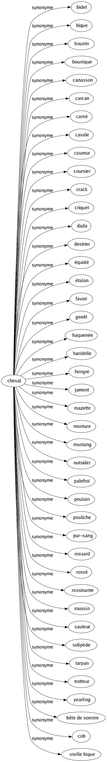 Synonyme de Cheval : Bidet Bique Bourrin Bourrique Canasson Carcan Carné Cavale Coureur Coursier Crack Criquet Dada Destrier Équidé Étalon Favori Genêt Haquenée Haridelle Hongre Jument Mazette Monture Mustang Outsider Palefroi Poulain Pouliche Pur-sang Rossard Rossé Rossinante Roussin Sauteur Solipède Tarpan Trotteur Yearling Bête de somme Cob Vieille bique 