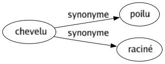 Synonyme de Chevelu : Poilu Raciné 