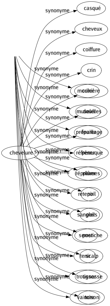 Synonyme de Chevelure : Casqué Cheveux Coiffure Crin Crinière Douilles Feuillage Perruque Plûmes Poil Poils Postiche Scalp Tignasse Toison 