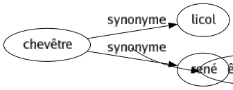 Synonyme de Chevêtre : Licol René 