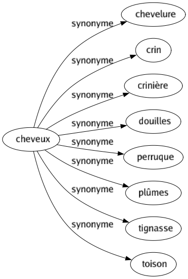 Synonyme de Cheveux : Chevelure Crin Crinière Douilles Perruque Plûmes Tignasse Toison 