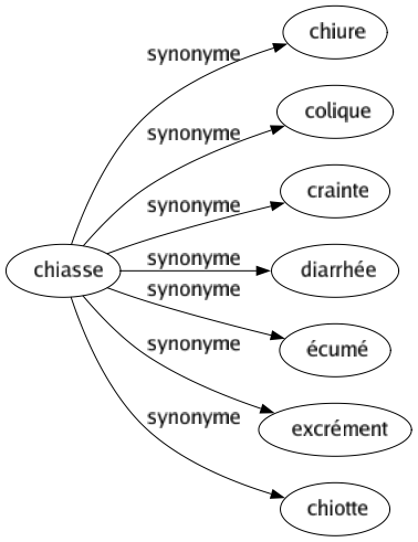 Synonyme de Chiasse : Chiure Colique Crainte Diarrhée Écumé Excrément Chiotte 