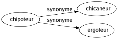 Synonyme de Chipoteur : Chicaneur Ergoteur 