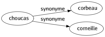 Synonyme de Choucas : Corbeau Corneille 