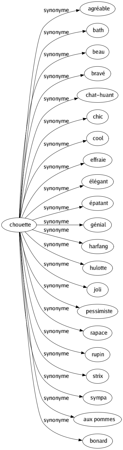 Synonyme de Chouette : Agréable Bath Beau Bravé Chat-huant Chic Cool Effraie Élégant Épatant Génial Harfang Hulotte Joli Pessimiste Rapace Rupin Strix Sympa Aux pommes Bonard 