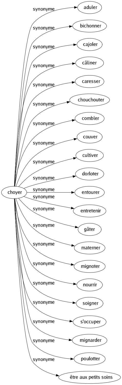 Synonyme de Choyer : Aduler Bichonner Cajoler Câliner Caresser Chouchouter Combler Couver Cultiver Dorloter Entourer Entretenir Gâter Materner Mignoter Nourrir Soigner S'occuper Mignarder Poulotter Être aux petits soins 