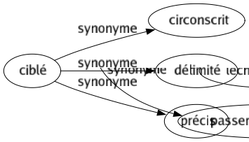 Synonyme de Ciblé : Circonscrit Délimité Précis 