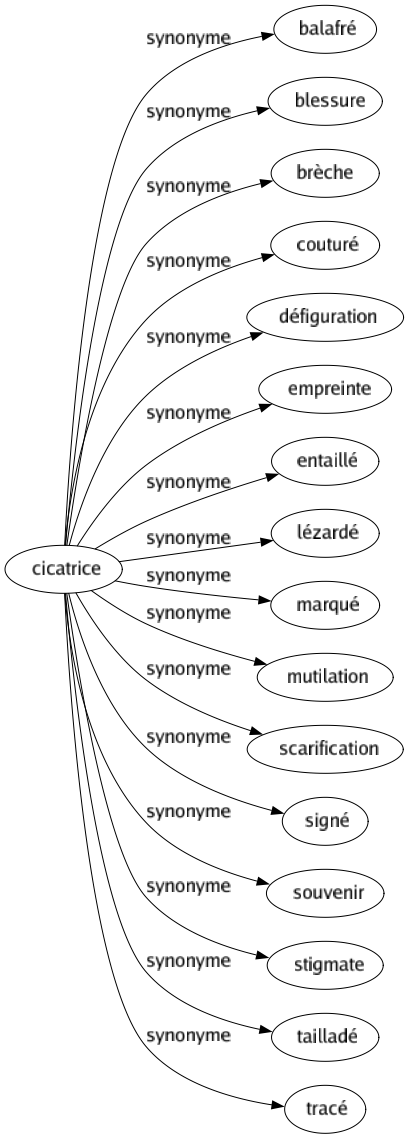 Synonyme de Cicatrice : Balafré Blessure Brèche Couturé Défiguration Empreinte Entaillé Lézardé Marqué Mutilation Scarification Signé Souvenir Stigmate Tailladé Tracé 
