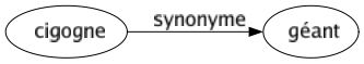 Synonyme de Cigogne : Géant 