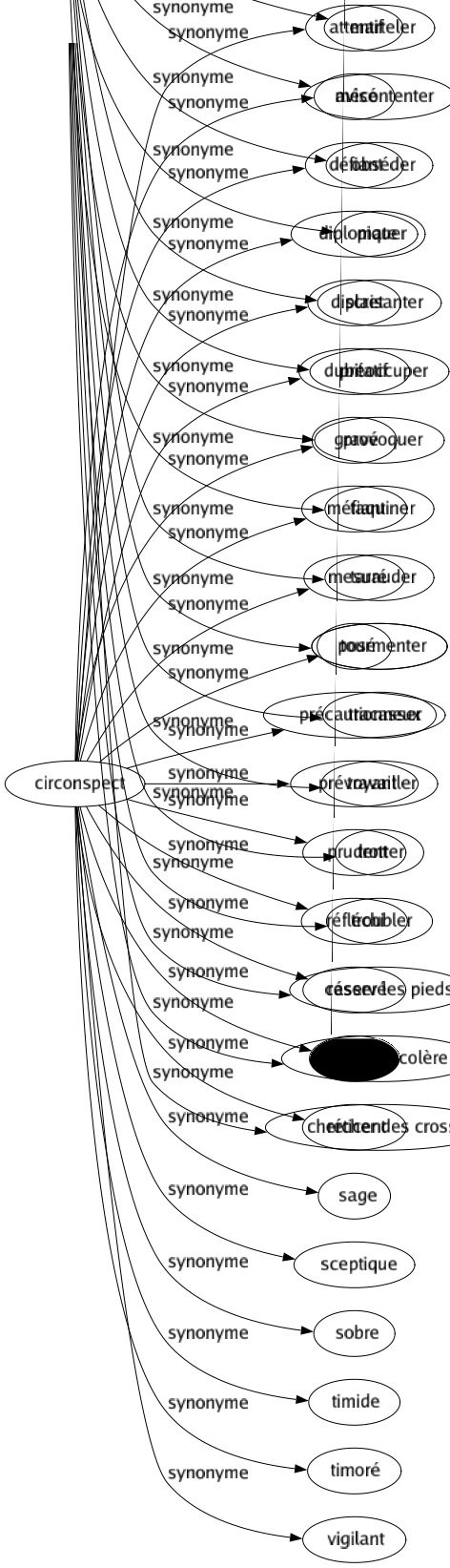 Synonyme de Circonspect : Attentif Avisé Défiant Diplomate Discret Dubitatif Gravé Méfiant Mesuré Posé Précautionneux Prévoyant Prudent Réfléchi Réservé Retenu Réticent Sage Sceptique Sobre Timide Timoré Vigilant 