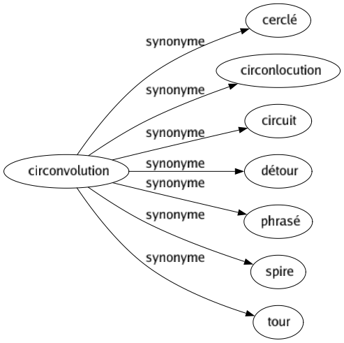 Synonyme de Circonvolution : Cerclé Circonlocution Circuit Détour Phrasé Spire Tour 