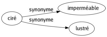 Synonyme de Ciré : Imperméable Lustré 