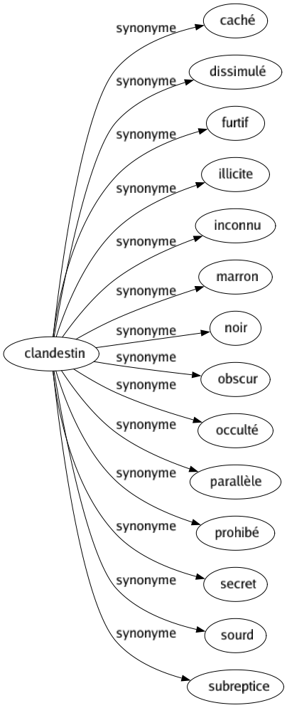 Synonyme de Clandestin : Caché Dissimulé Furtif Illicite Inconnu Marron Noir Obscur Occulté Parallèle Prohibé Secret Sourd Subreptice 