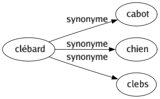 Synonyme de Clébard : Cabot Chien Clebs 