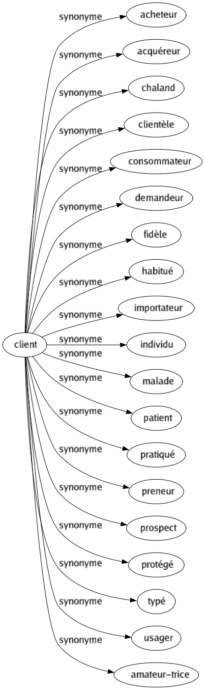 Synonyme de Client : Acheteur Acquéreur Chaland Clientèle Consommateur Demandeur Fidèle Habitué Importateur Individu Malade Patient Pratiqué Preneur Prospect Protégé Typé Usager Amateur-trice 
