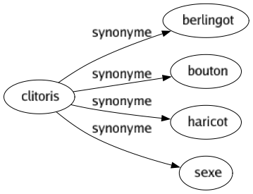 Synonyme de Clitoris : Berlingot Bouton Haricot Sexe 