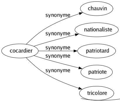 Synonyme de Cocardier : Chauvin Nationaliste Patriotard Patriote Tricolore 