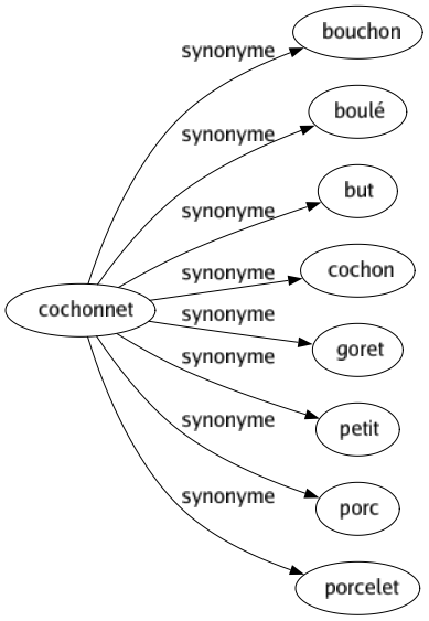 Synonyme de Cochonnet : Bouchon Boulé But Cochon Goret Petit Porc Porcelet 