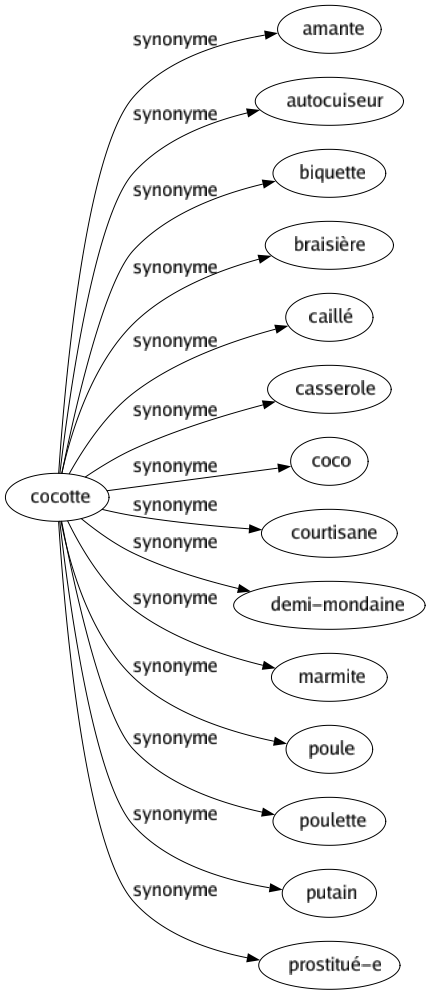 Synonyme de Cocotte : Amante Autocuiseur Biquette Braisière Caillé Casserole Coco Courtisane Demi-mondaine Marmite Poule Poulette Putain Prostitué-e 