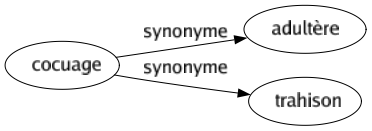 Synonyme de Cocuage : Adultère Trahison 