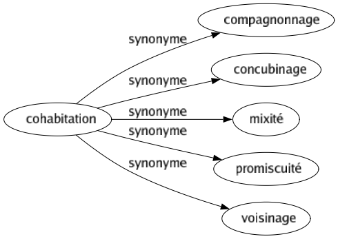 Synonyme de Cohabitation : Compagnonnage Concubinage Mixité Promiscuité Voisinage 