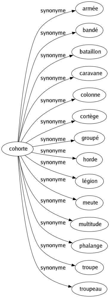 Synonyme de Cohorte : Armée Bandé Bataillon Caravane Colonne Cortège Groupé Horde Légion Meute Multitude Phalange Troupe Troupeau 