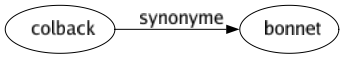 Synonyme de Colback : Bonnet 