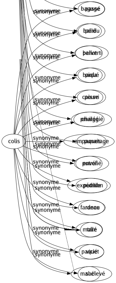 Synonyme de Colis : Bagage Ballé Ballot Barda Caisse Chargé Empaquetage Envoi Expédition Fardeau Malle Paquet Sac 